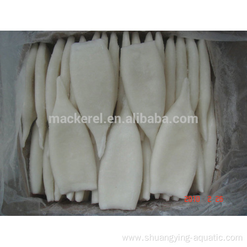 Good Quality Frozen Calamari Squid Tube U10 70%nw